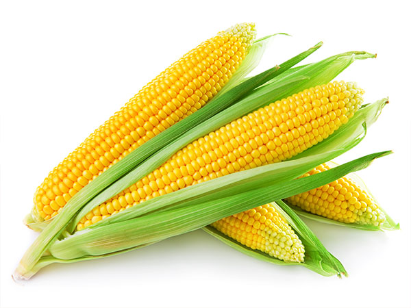 eat corn with dental implants